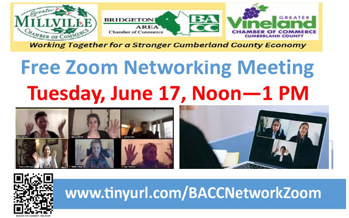 Flyer June 17 2025 Online Networking Header